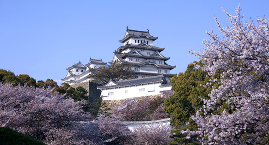 &#80;&#71;&#30005;&#23376;